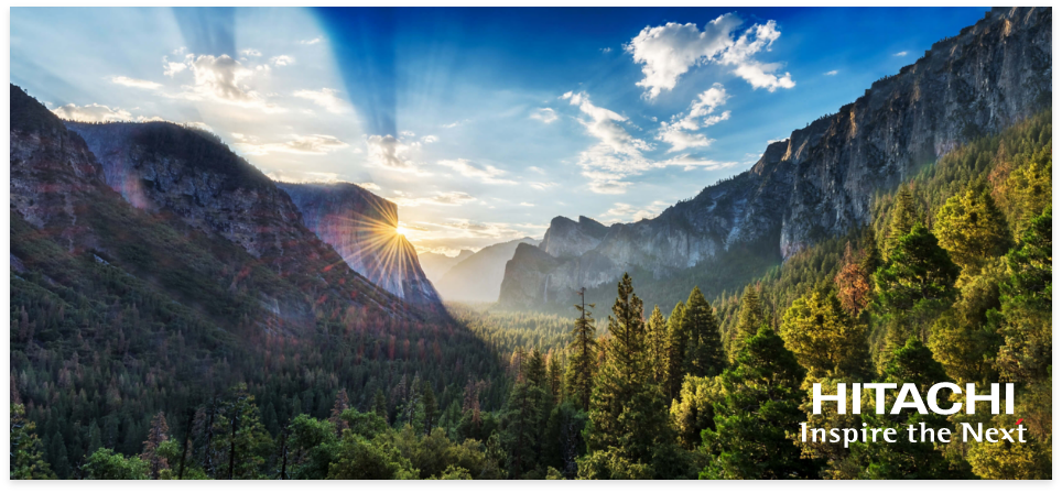 Sustainable business